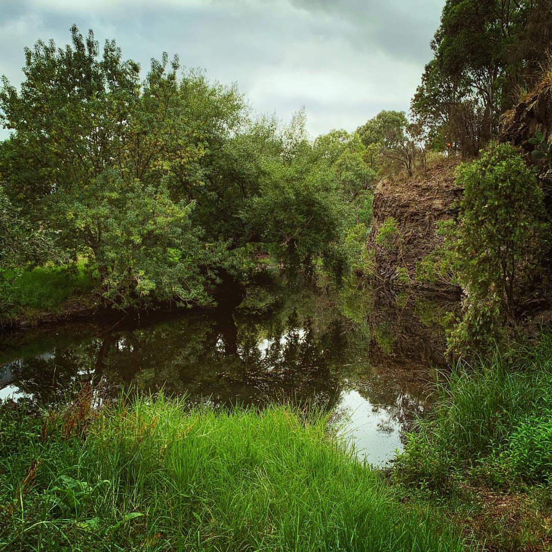 Hidden just underneath Rushall station