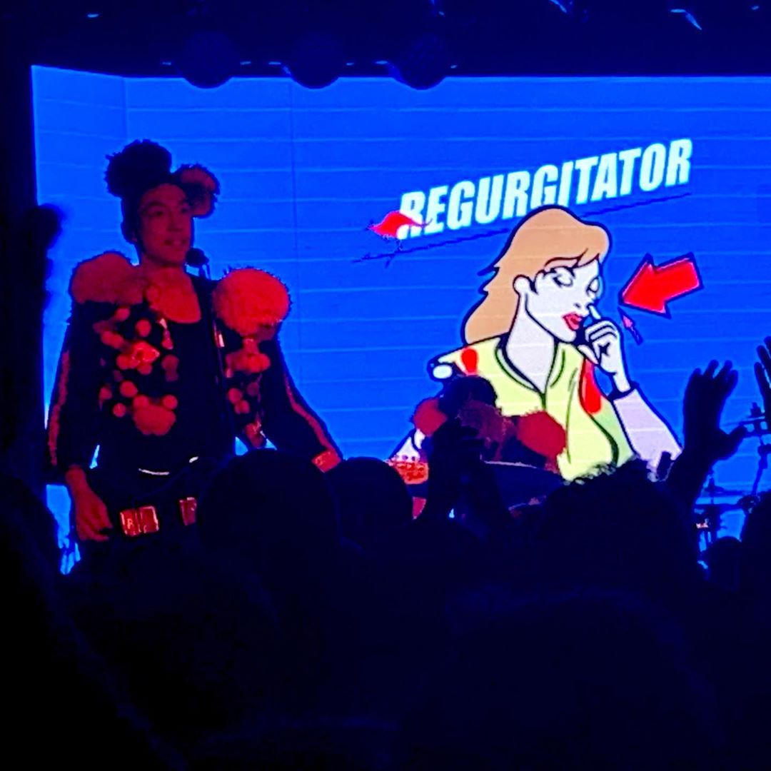 Regurgitator and Shonen Knife. 
Fun, and too loud for this old man.