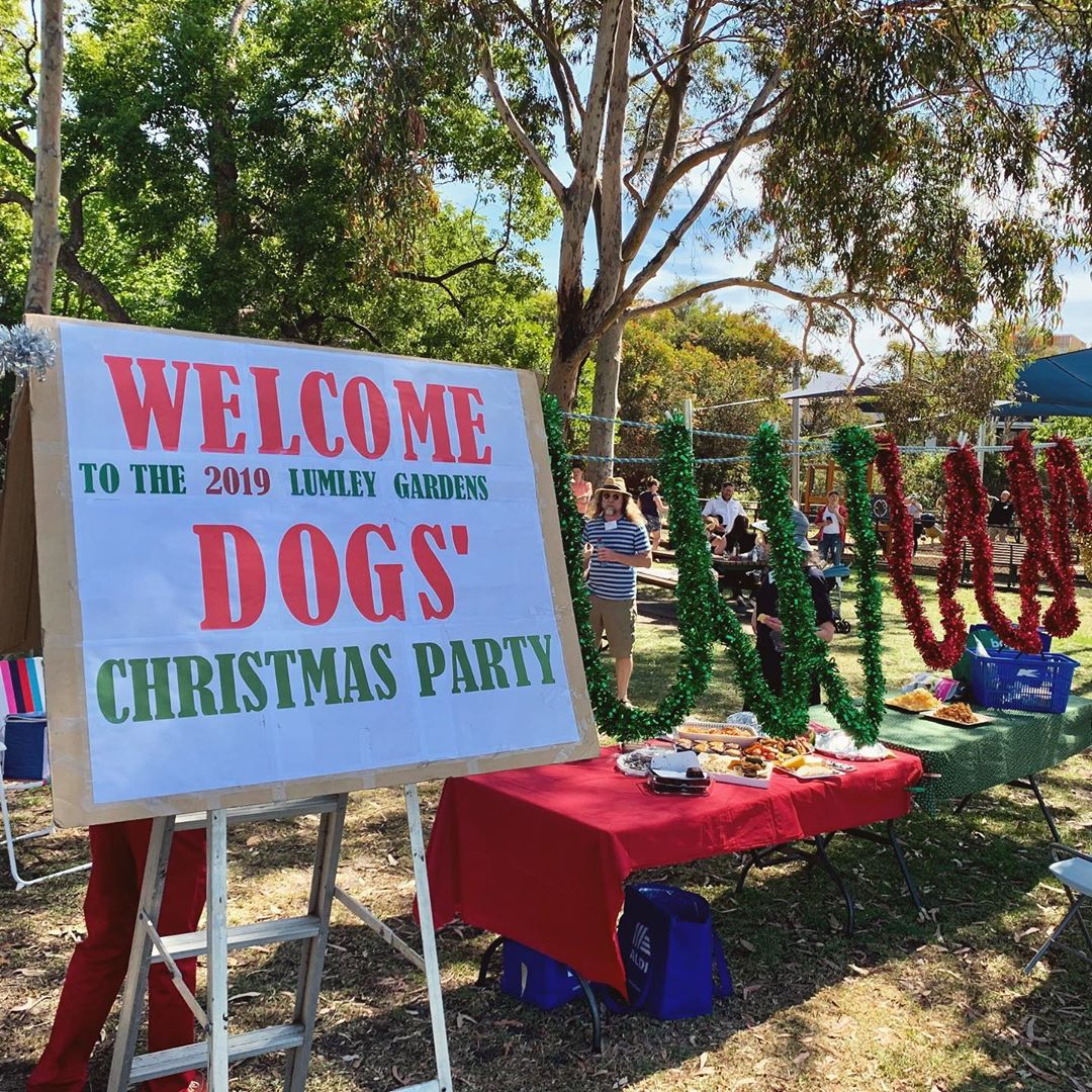 Apparently Santa Paws will be here soon