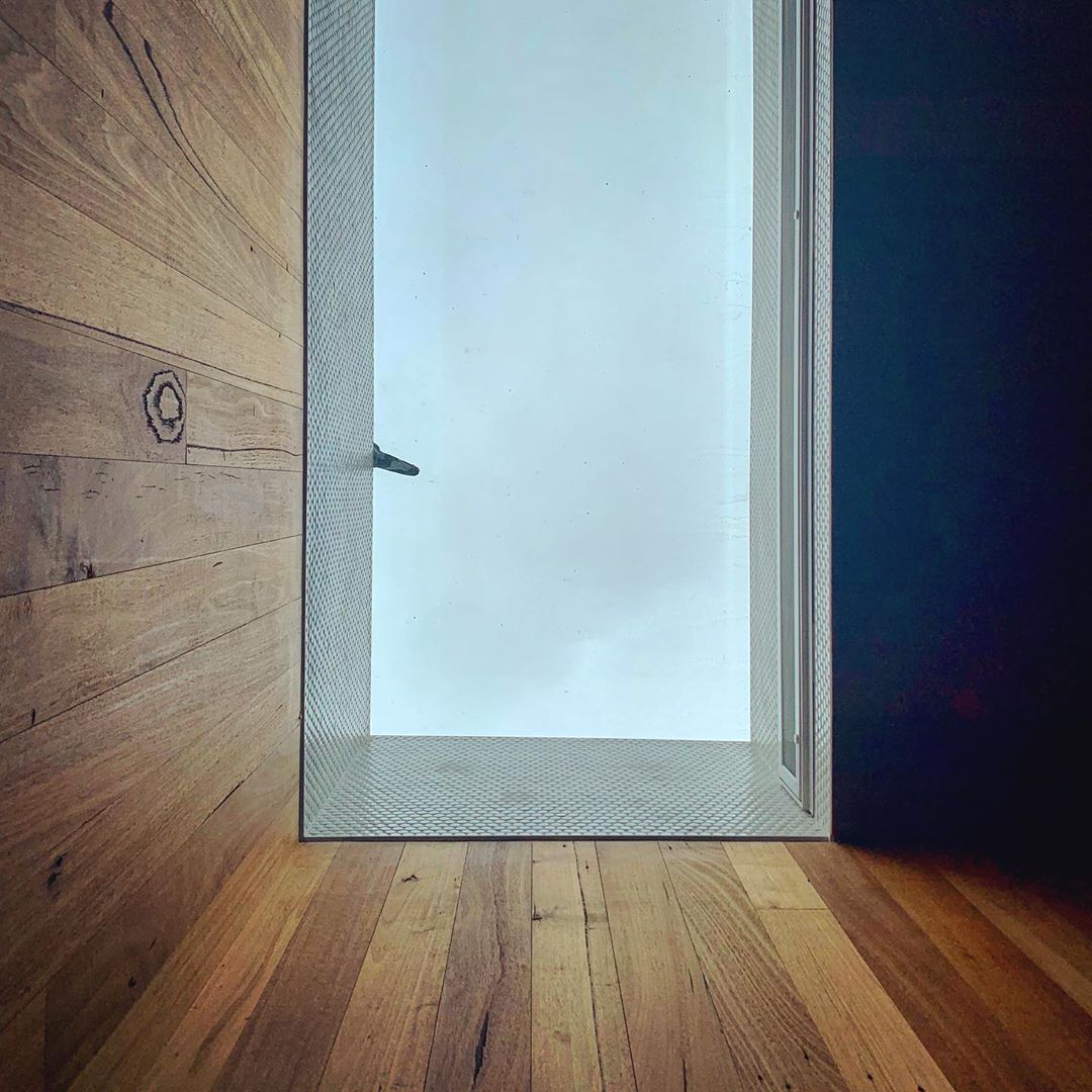 Bird butt on the skylight