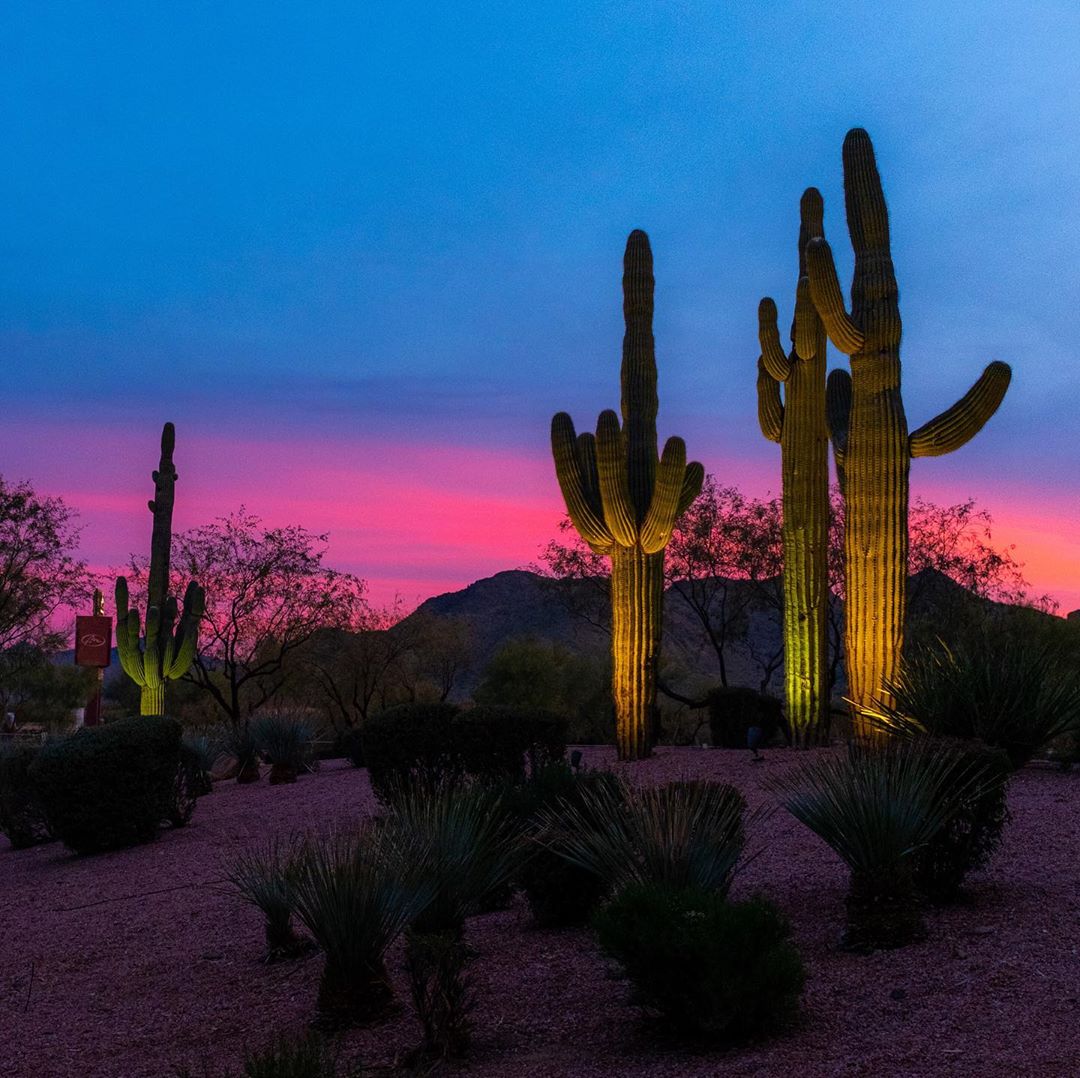 Living out in the desert doesn’t sound too bad with these sunsets.