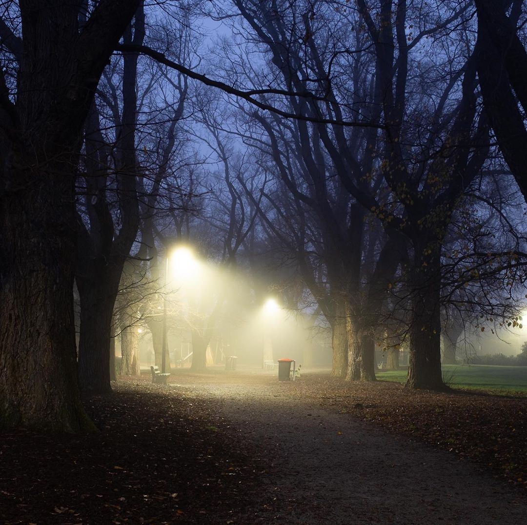 Good morning 5° fog