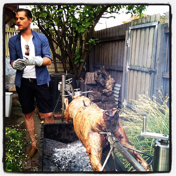 Lamb