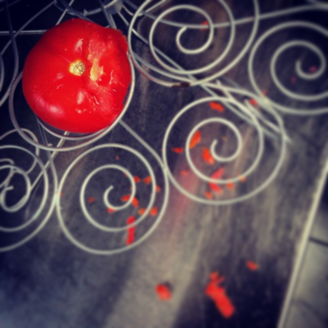 It seems my tomato-eating rodent has returned.