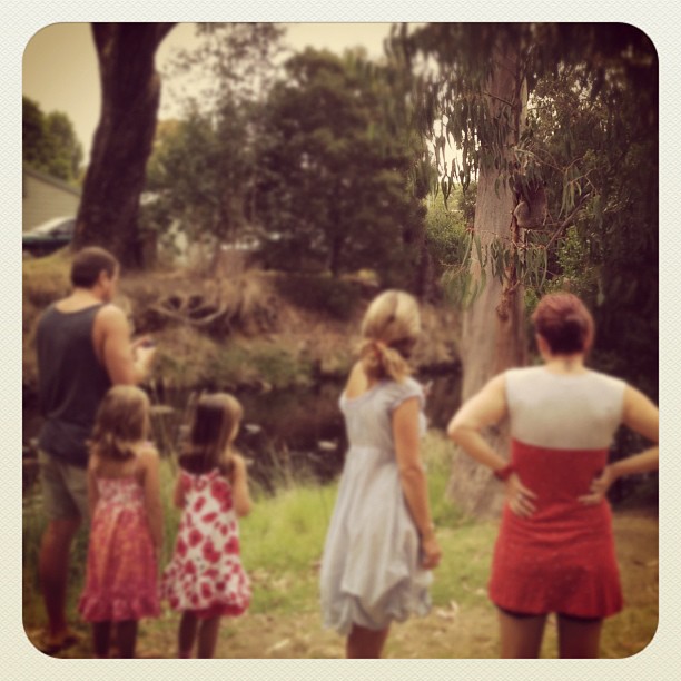 Even in the bush in Australia, everyone gets rather excited to see a koala.