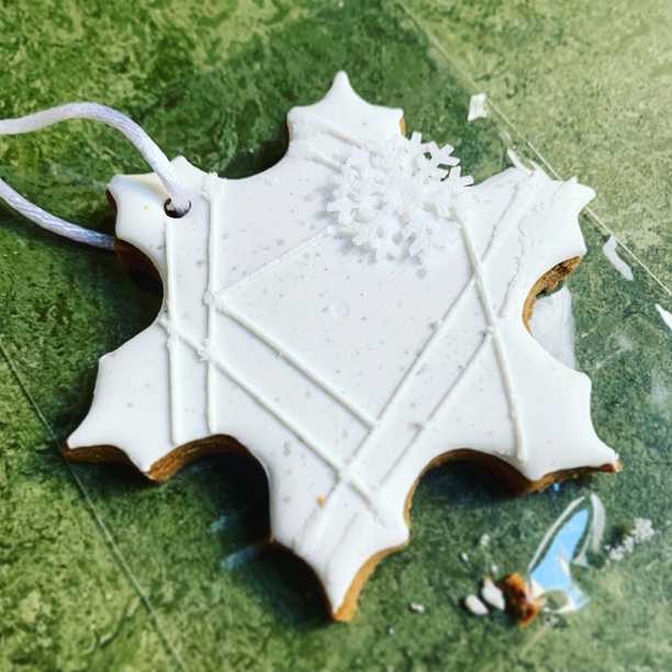 Thanks for the gorgeous snowflake biscuit @deblieubakes! Most excellent gingerbread ❄️