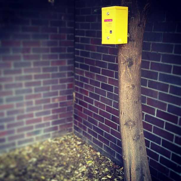 Pragmatism: someone has installed a needle bin on the tree where homeless junkies regularly shoot up.