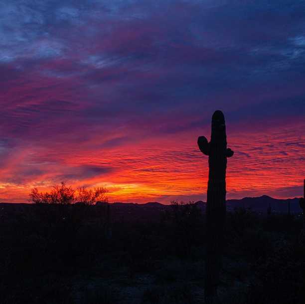 Normally the trick with sunset photos is to dial up the saturation so it looks warm and colourful. This time I dialed down the saturation because if I posted the real colours of this sunset you wouldn’t believe me. These sunsets over the Arizona desert are quite literally unbelievable.