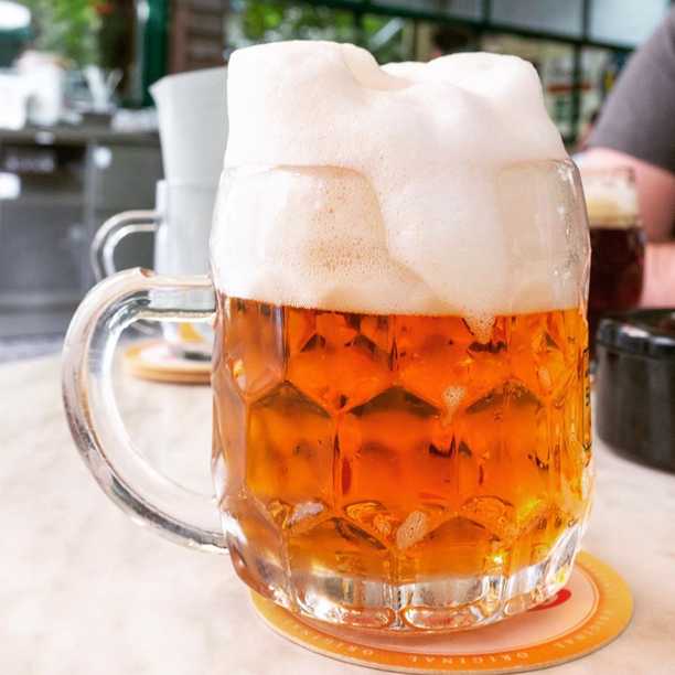 Pork knuckle? Check ☑️
Crisp beer? Check ☑️
Cheers Vienna.