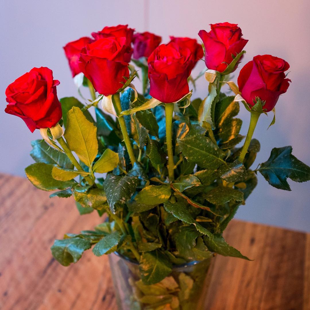 @amythemighty surprised me with roses... which I honestly didn’t expect because I didn’t realise today is Saint Valentine’s Day!