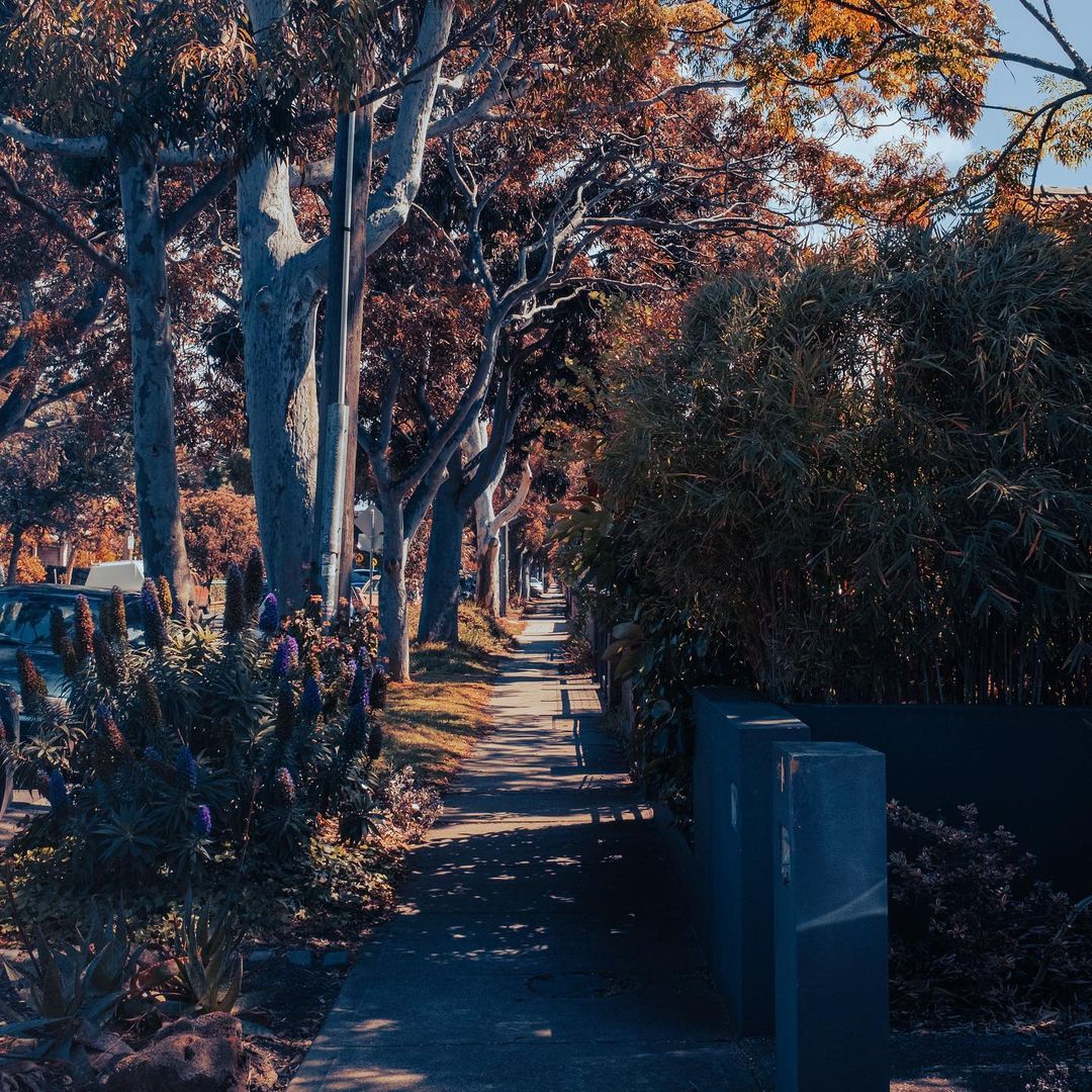 Suburban spring