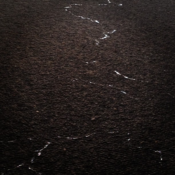 This slug has decided to say ‘happy new year’ in the only way it knows how: on my carpet