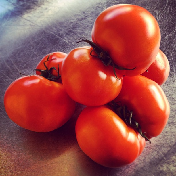 I think my tomatoes may actually be aliens.