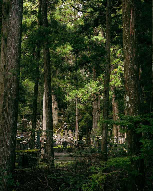 Okunoin cemetery is a captivating and mystical place, both sacred and improbable like we’re in a movie. Over a thousand years and hundreds of thousands of gravestones fighting against nature that seems so keen to reclaim the place.