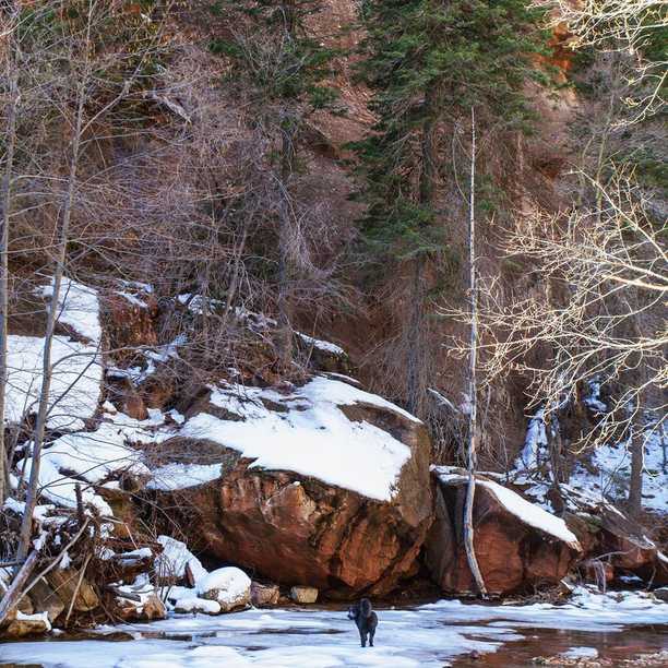 A great day hike along the West Fork Trail at Oak Creek in Arizona