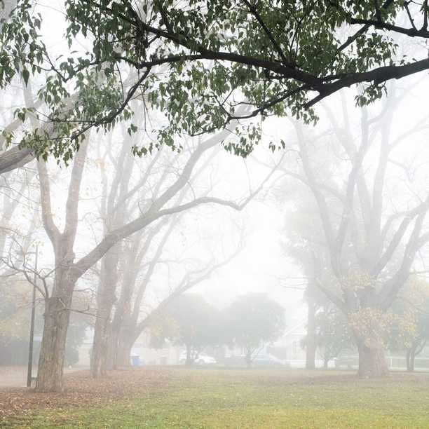 2º morning in Brunswick East on Thursday