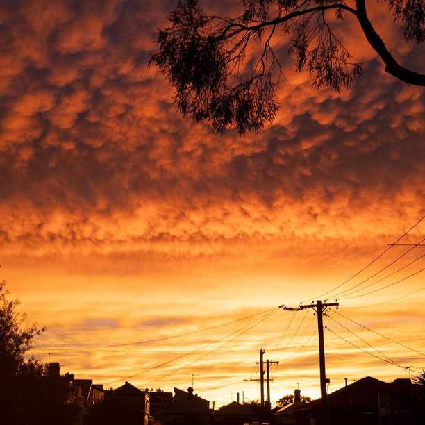 Brilliant sunrise over Melbourne this morning !

It would also be brilliant if someone would shine some light on who paid Christian Porter's legal fees for his failed bid to sue the ABC.