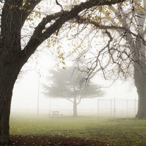 2º morning in Brunswick East on Thursday