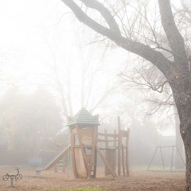 2º morning in Brunswick East on Thursday